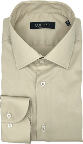 CAPRI.png