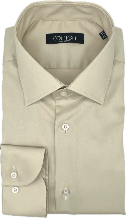 CAPRI.png